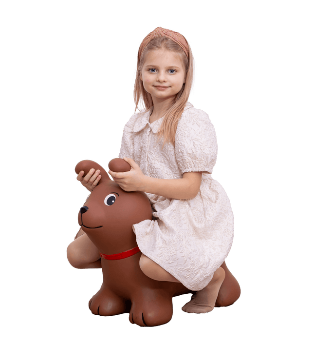 My First JUMPY – Brown Dog