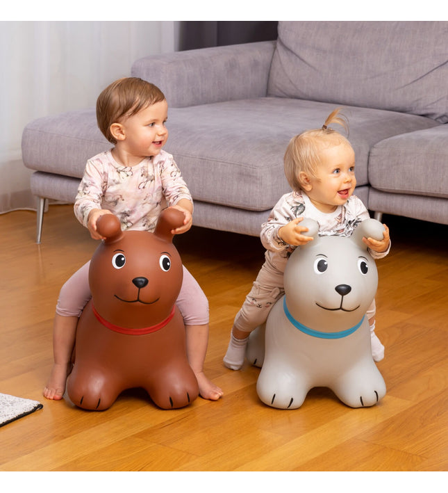 My First JUMPY – Brown Dog