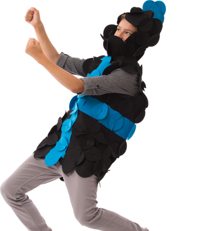 Costume Puzzle - Sir William the Brave Knight