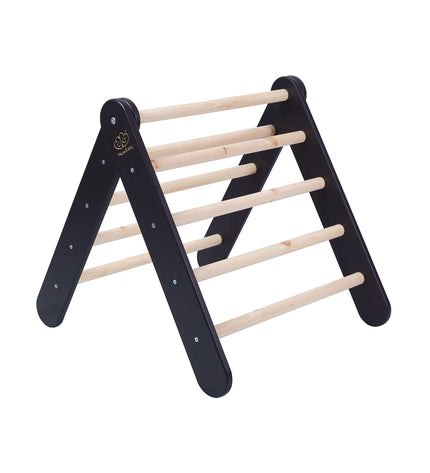 Ladder with a Slide-Climbing Wall - Black