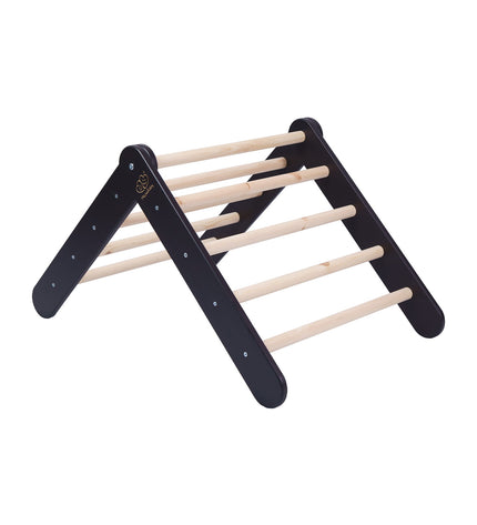 Ladder with a Slide-Climbing Wall - Black