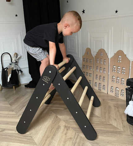 Ladder with a Slide-Climbing Wall - Black