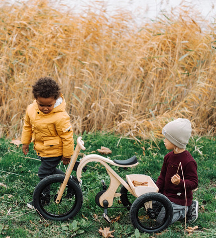 Tricycle Add-on for the leg&go Balance Bike 3in1