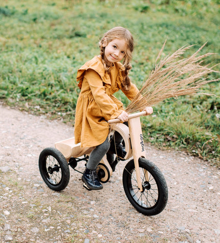 Tricycle Add-on for the leg&go Balance Bike 3in1